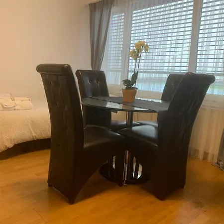 Apartment Studio Jet D'eau *